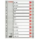 Esselte_100114_plastic_tabbladen_A4_grijs_met_jan-dec_11-gaats_100114_203824_m1_big.webp