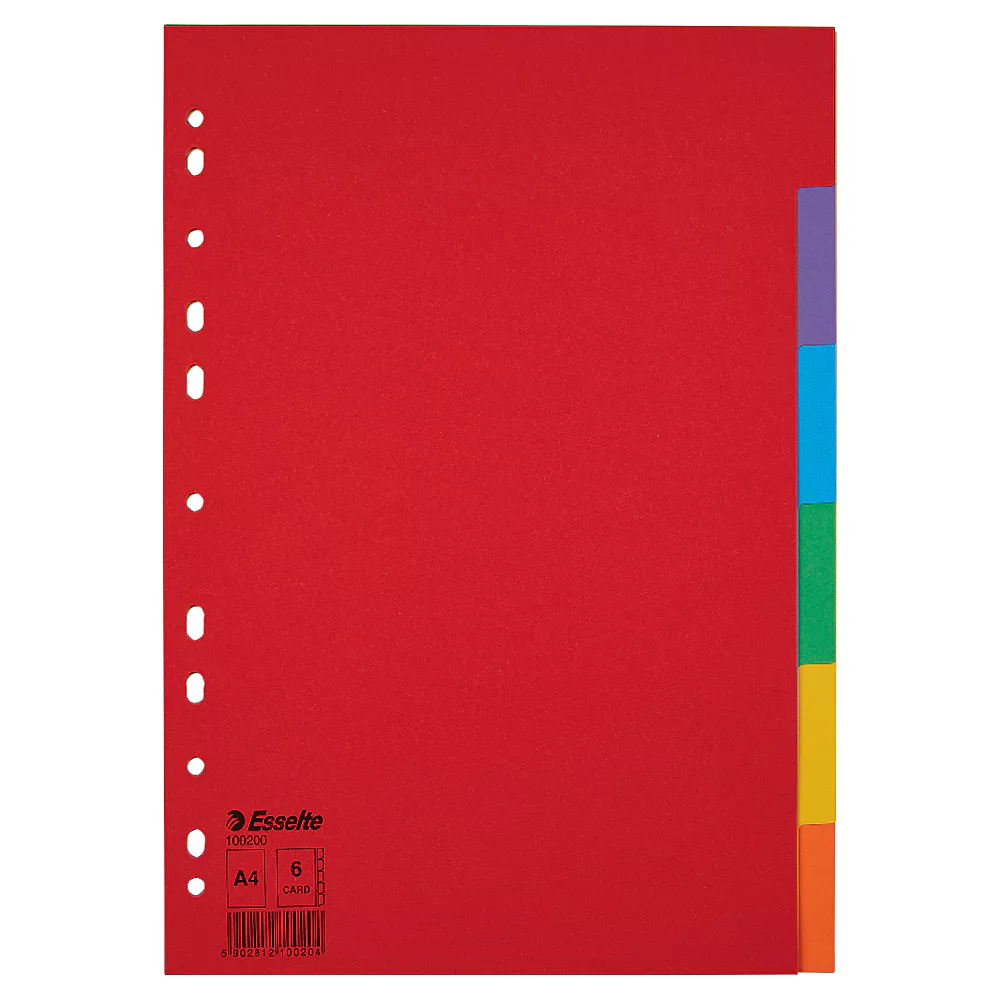 Esselte Tabblad A4 (11 gaats)