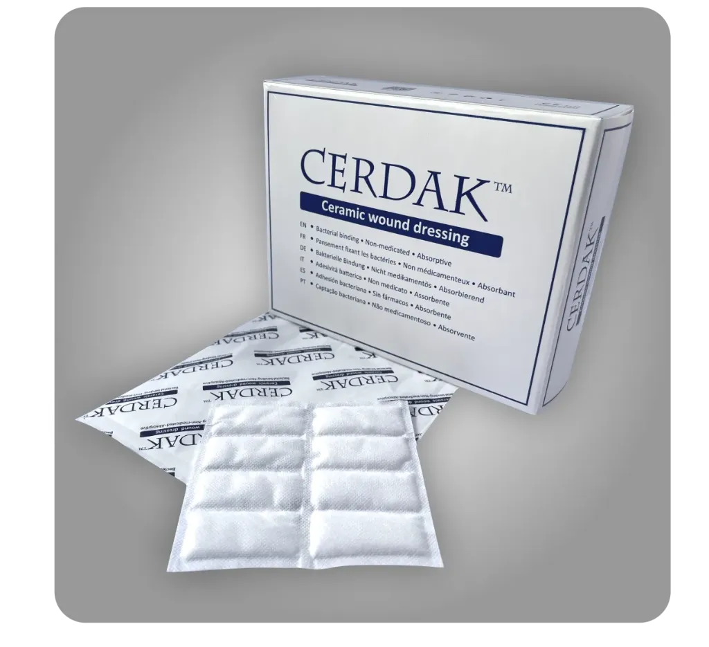 Cerdak Basic (10 x 10 cm)